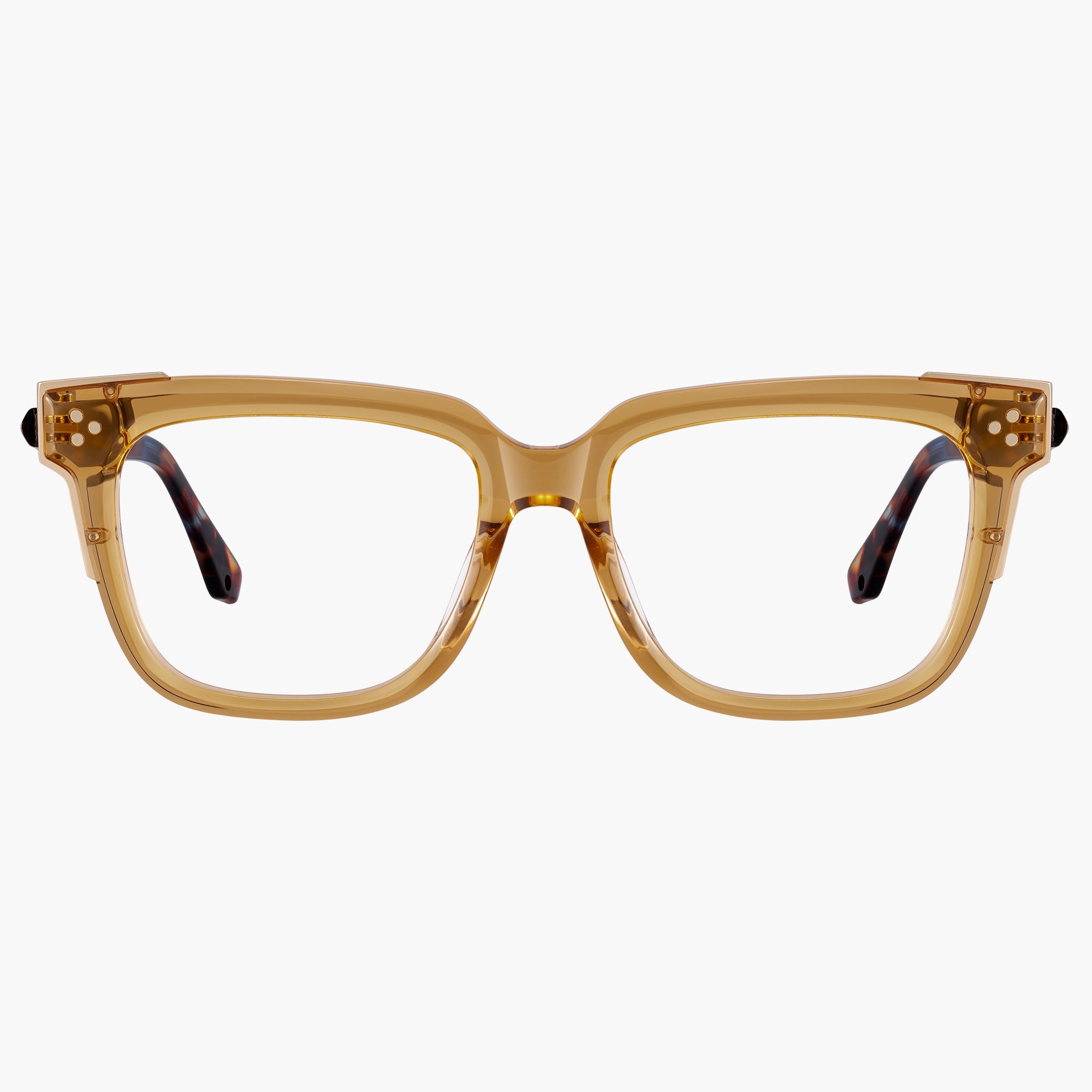 Donahugh-eyeglasses-tortoise